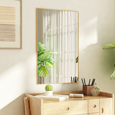 Ogledalo za vrata zlato 50x80 cm steklo in aluminij